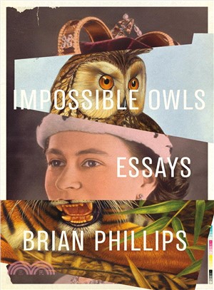 Impossible Owls ― Essays
