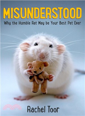 Misunderstood ─ Why the Humble Rat May Be Your Best Pet Ever