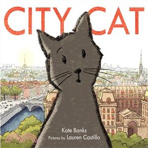 City cat /