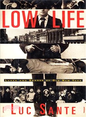 Low Life ─ Lures and Snares of Old New York