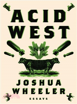 Acid West :essays /