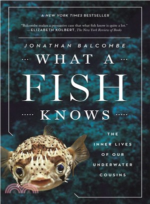 What a fish knows :the inner lives of our underwater cousins /