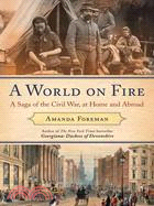 A World on Fire: Britian's Crucial Role in the American Civil War | 拾書所