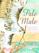 Pale Male :citizen hawk of N...