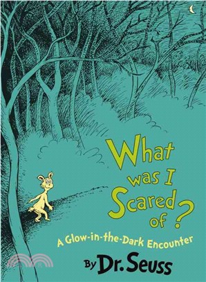 What was I scared of? :a glow-in-the-dark encounter /