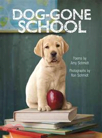 Dog-gone school /