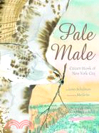 Pale Male: Citizen Hawk of New York City