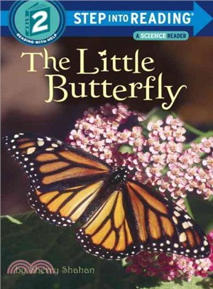 The little butterfly