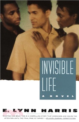 Invisible Life ─ A Novel