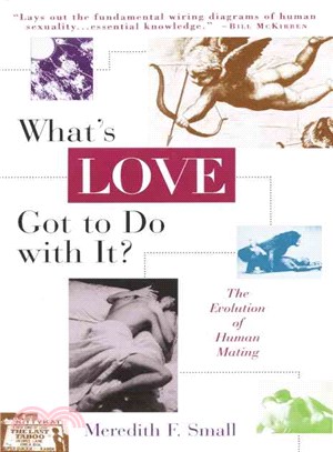 What's Love Got to Do With It? ─ The Evolution of Human Mating