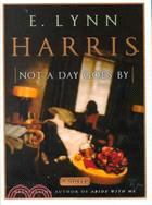 Not a Day Goes by: A Novel