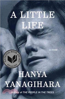 A little life :a novel /