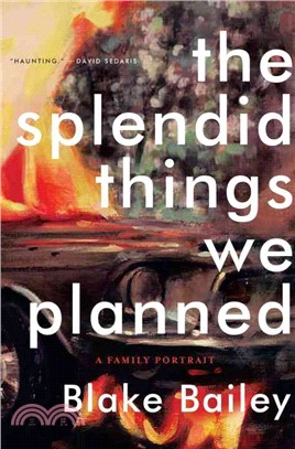 The Splendid Things We Planned ― A Family Portrait