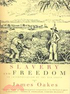Slavery and Freedom: An Interprepation of the Old South