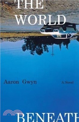 The World Beneath：A Novel
