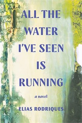 All the water I've seen is running :a novel /