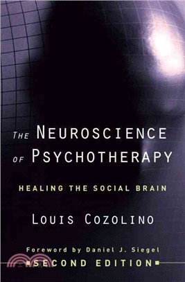 The Neuroscience of Psychotherapy: Healing the Social Brain