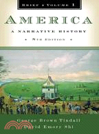 America: A Narrative History