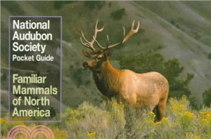 Familiar Mammals North America