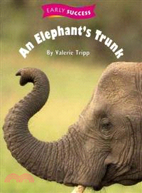 An Elephant Trunk