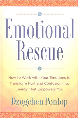 Emotional Rescue ─ How to Work With Your Emotions to Transform Hurt and Confusion into Energy That Empowers You