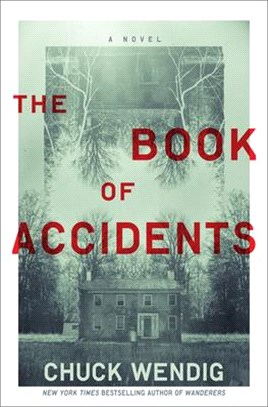 The book of accidents :a nov...