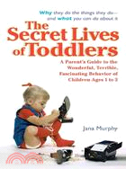 The Secret Lives of Toddlers ─ A Parents Guide to the Wonderful, Terrible, Fascinating Behavior of Children Ages 1 to 3