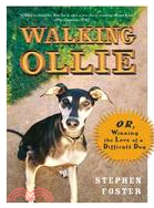 Walking Ollie ─ Or, Winning the Love of a Difficult Dog
