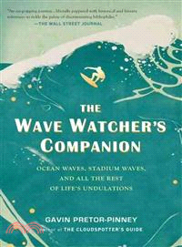 The wave watcher