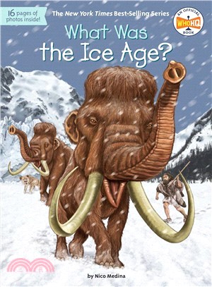 What was the Ice Age? /