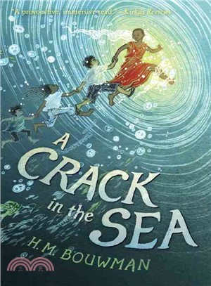 A Crack in the Sea