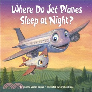 Where do jet planes sleep at...