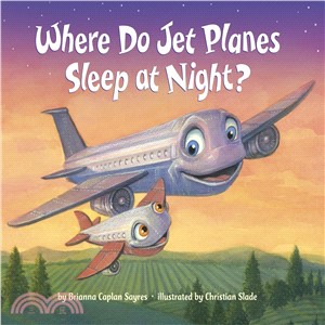 Where do jet planes sleep at night? /
