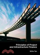 Principles of project and in...