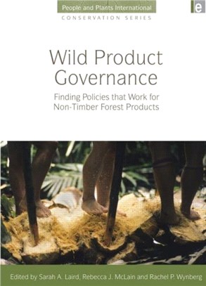 Wild Product Governance