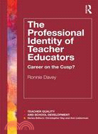 The Professional Identity of Teacher Educators ─ Career on the Cusp?