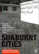 Sunburnt Cities: Foreclosure, Abandonment, and Hope for the Shrinking American Sunbelt