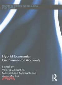 Hybrid Economic-Environmental Accounts