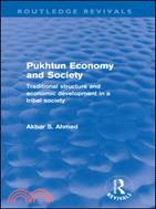 Pukhtun Economy and Society (Routledge Revivals)：Traditional Structure and Economic Development in a Tribal Society