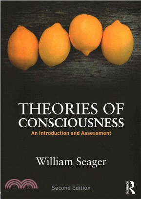 Theories of Consciousness ─ An Introduction and Assessment