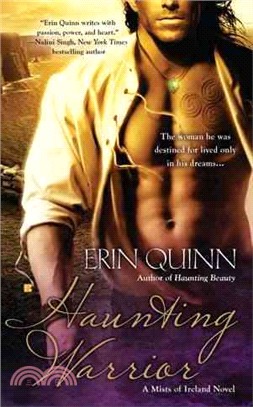 Haunting Warrior ─ A Mists of Ireland Novel