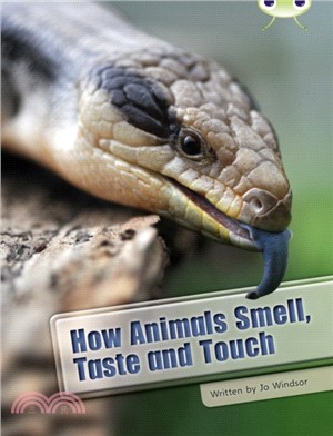 How animals smell, taste and touch /