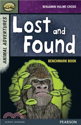 Rapid Stage 7 Assessment book: Lost and Found