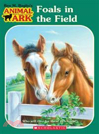 Foals in the Field