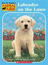Labrador on the Lawn