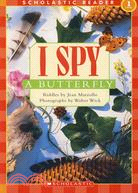 I spy a butterfly /
