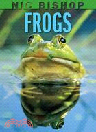 Frogs /