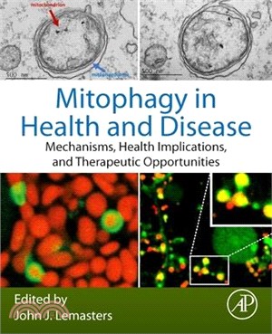 Mitophagy in Health and Disease: Mechanisms, Health Implications, and Therapeutic Opportunities