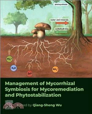 Management of Mycorrhizal Symbiosis for Mycoremediation and Phytostabilization
