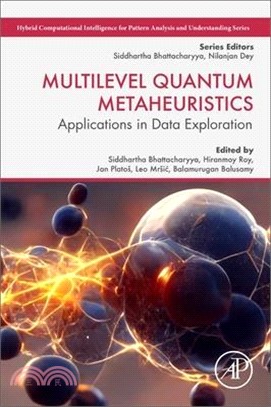 Multilevel Quantum Metaheuristics: Applications in Data Exploration